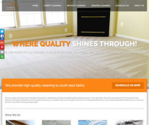 allshine cleaning project