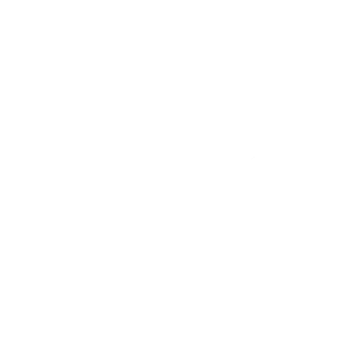Ecommerce
