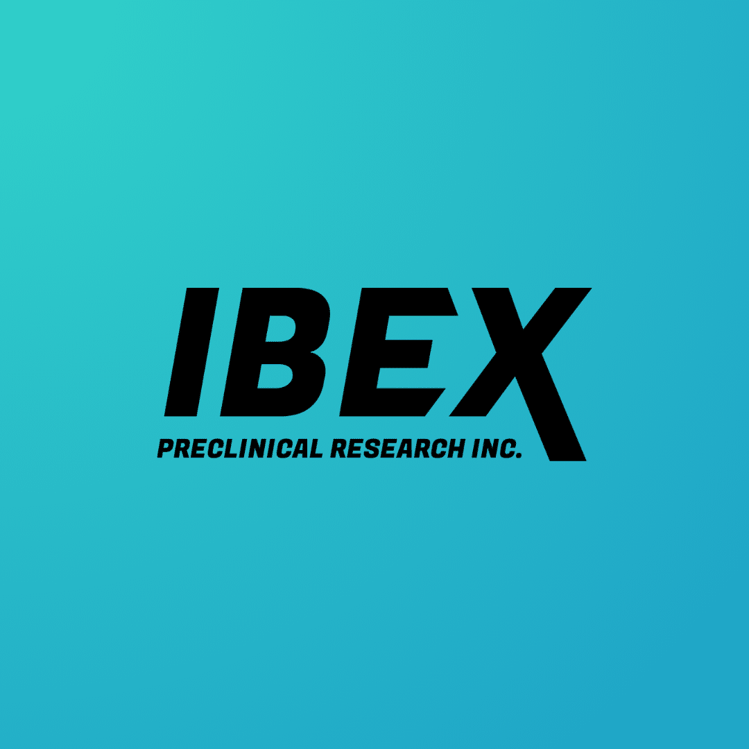 ibex research seo case study